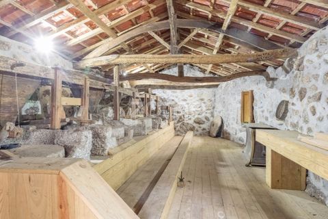 Gård i Alvite e Passos, Braga, Alvite e Passos - € 385 000 | Ref: ZMPT581693 - foto 11