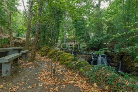 Gård i Alvite e Passos, Braga, Alvite e Passos - € 385 000 | Ref: ZMPT581693 - foto 15