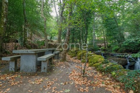 Gård i Alvite e Passos, Braga, Alvite e Passos - € 385 000 | Ref: ZMPT581693 - foto 16