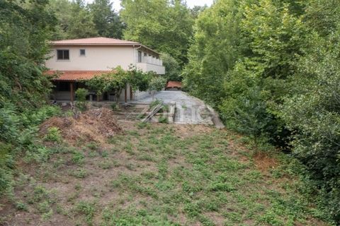 Gård i Alvite e Passos, Braga, Alvite e Passos - € 385 000 | Ref: ZMPT581693 - foto 21