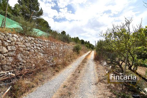 Landejendom i Manacor, Mallorca, Manacor - € 265.000 | Ref: SM-2053 - foto 9