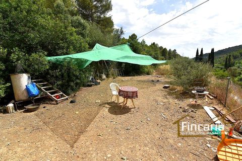 Landejendom i Manacor, Mallorca, Manacor - € 265.000 | Ref: SM-2053 - foto 13