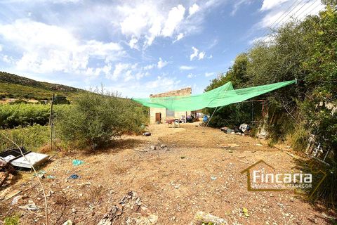 Landejendom i Manacor, Mallorca, Manacor - € 265.000 | Ref: SM-2053 - foto 14