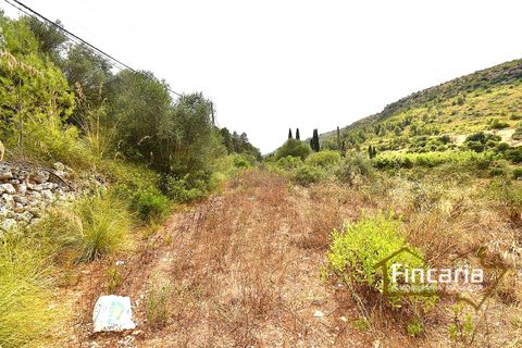 Landejendom i Manacor, Mallorca, Manacor - € 265.000 | Ref: SM-2053 - foto 15