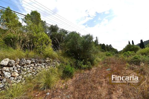 Landejendom i Manacor, Mallorca, Manacor - € 265.000 | Ref: SM-2053 - foto 16