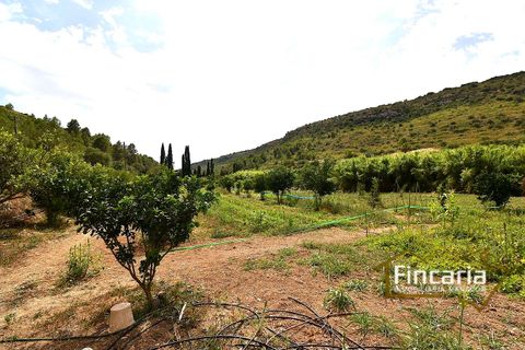 Landejendom i Manacor, Mallorca, Manacor - € 265.000 | Ref: SM-2053 - foto 17