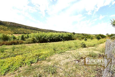 Landejendom i Manacor, Mallorca, Manacor - € 265.000 | Ref: SM-2053 - foto 18