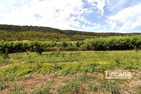 Landejendom i Manacor, Mallorca, Manacor - € 265.000 | Ref: SM-2053 - foto 19