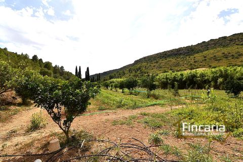 Landejendom i Manacor, Mallorca, Manacor - € 265.000 | Ref: SM-2053 - foto 20