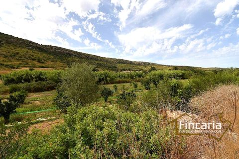 Landejendom i Manacor, Mallorca, Manacor - € 265.000 | Ref: SM-2053 - foto 21