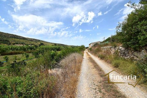 Landejendom i Manacor, Mallorca, Manacor - € 265.000 | Ref: SM-2053 - foto 22