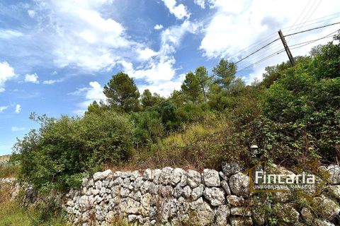 Landejendom i Manacor, Mallorca, Manacor - € 265.000 | Ref: SM-2053 - foto 23
