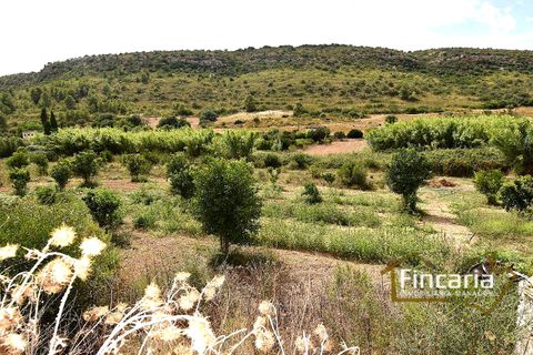 Landejendom i Manacor, Mallorca, Manacor - € 265.000 | Ref: SM-2053 - foto 24