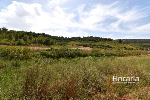 Landejendom i Manacor, Mallorca, Manacor - € 265.000 | Ref: SM-2053 - foto 25