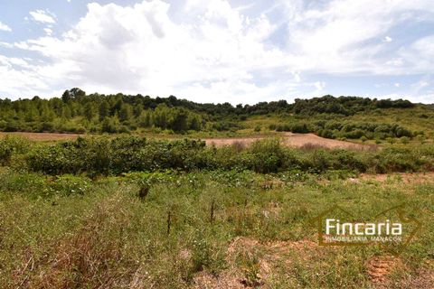 Landejendom i Manacor, Mallorca, Manacor - € 265.000 | Ref: SM-2053 - foto 26