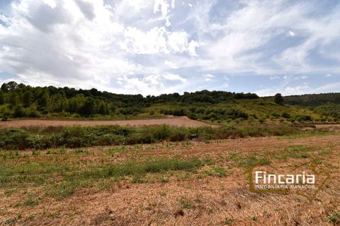Landejendom i Manacor, Mallorca, Manacor - € 265.000 | Ref: SM-2053 - foto 27