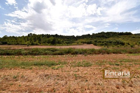Landejendom i Manacor, Mallorca, Manacor - € 265.000 | Ref: SM-2053 - foto 28