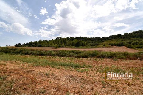 Landejendom i Manacor, Mallorca, Manacor - € 265.000 | Ref: SM-2053 - foto 29