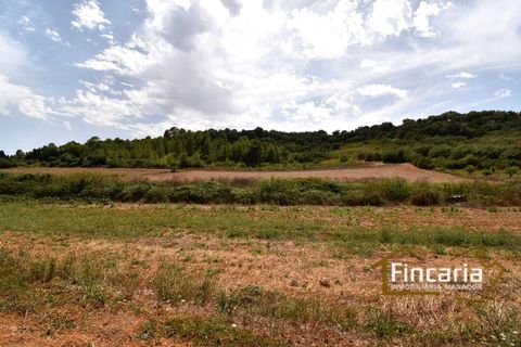 Landejendom i Manacor, Mallorca, Manacor - € 265.000 | Ref: SM-2053 - foto 30