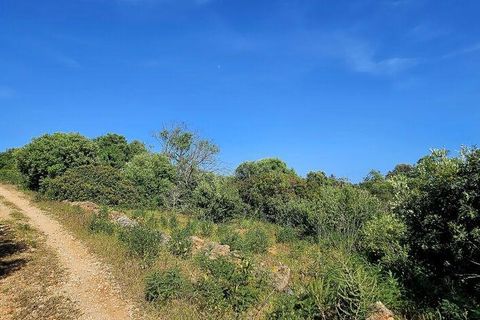 Helårsgrund i Lagos, Faro, Lagos - € 140.000 | Ref: 125606 - foto 7
