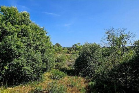 Helårsgrund i Lagos, Faro, Lagos - € 140.000 | Ref: 125606 - foto 8