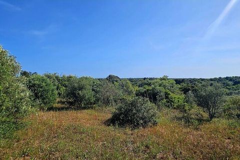 Helårsgrund i Lagos, Faro, Lagos - € 140.000 | Ref: 125606 - foto 9