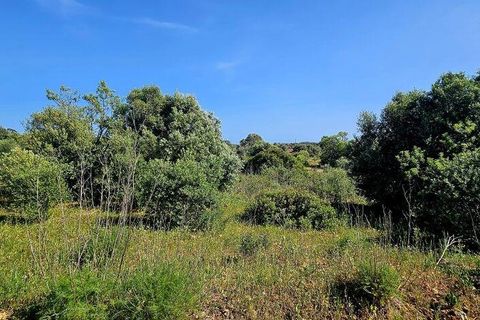 Helårsgrund i Lagos, Faro, Lagos - € 140.000 | Ref: 125606 - foto 10