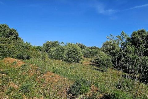 Helårsgrund i Lagos, Faro, Lagos - € 140.000 | Ref: 125606 - foto 11