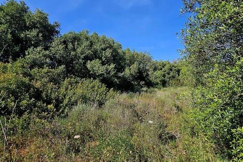 Helårsgrund i Lagos, Faro, Lagos - € 140.000 | Ref: 125606 - foto 12