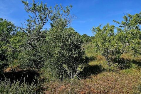Helårsgrund i Lagos, Faro, Lagos - € 140.000 | Ref: 125606 - foto 13