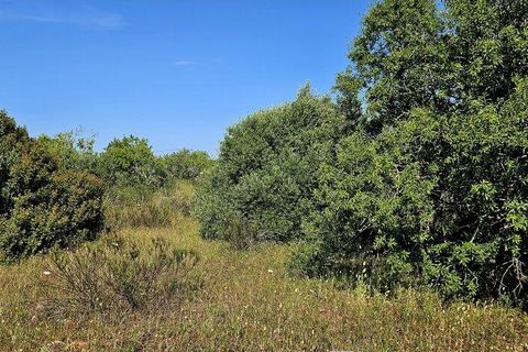 Helårsgrund i Lagos, Faro, Lagos - € 140.000 | Ref: 125606 - foto 14