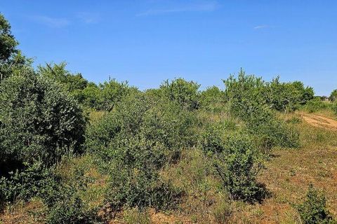 Helårsgrund i Lagos, Faro, Lagos - € 140.000 | Ref: 125606 - foto 15