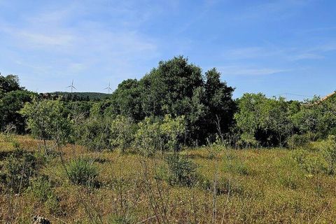 Helårsgrund i Lagos, Faro, Lagos - € 140.000 | Ref: 125606 - foto 18