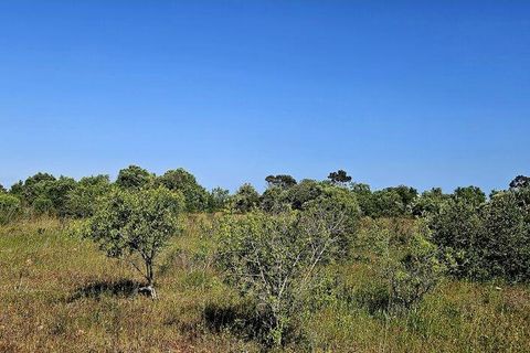 Helårsgrund i Lagos, Faro, Lagos - € 140.000 | Ref: 125606 - foto 19