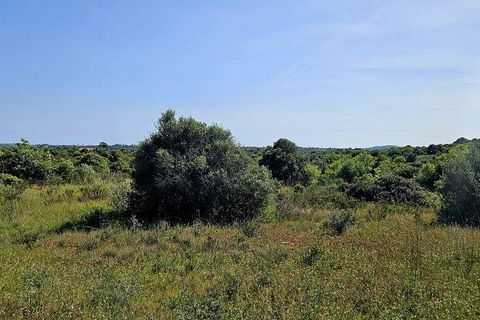 Helårsgrund i Lagos, Faro, Lagos - € 140.000 | Ref: 125606 - foto 20
