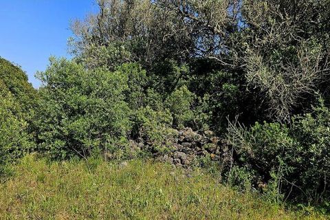 Helårsgrund i Lagos, Faro, Lagos - € 140.000 | Ref: 125606 - foto 21