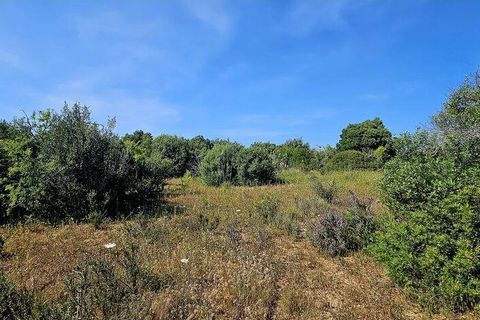 Helårsgrund i Lagos, Faro, Lagos - € 140.000 | Ref: 125606 - foto 23