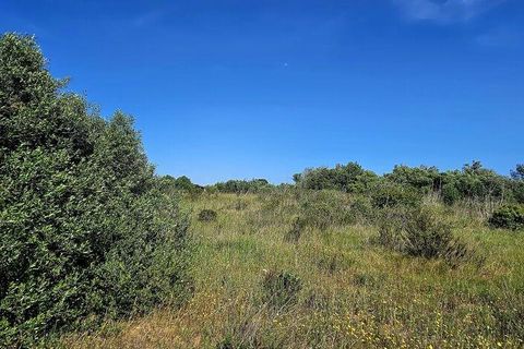 Helårsgrund i Lagos, Faro, Lagos - € 140.000 | Ref: 125606 - foto 24