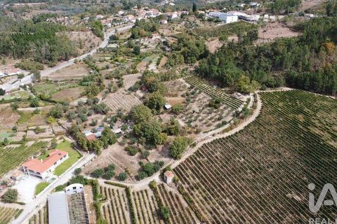 Helårsgrund i Penalva do Castelo, Viseu, Penalva do Castelo - € 57.000 | Ref: 151226 - foto 2