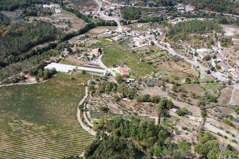 Helårsgrund i Penalva do Castelo, Viseu, Penalva do Castelo - € 57.000 | Ref: 151226 - foto 3