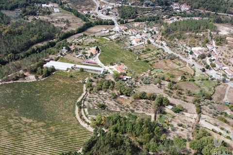 Helårsgrund i Penalva do Castelo, Viseu, Penalva do Castelo - € 57.000 | Ref: 151226 - foto 4