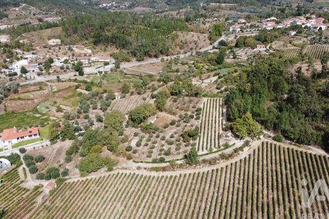 Helårsgrund i Penalva do Castelo, Viseu, Penalva do Castelo - € 57.000 | Ref: 151226 - foto 5