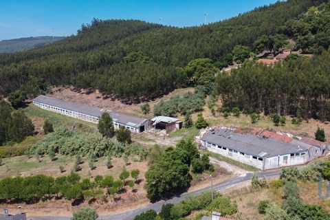 Byhus i Rio Maior, Santarem, Rio Maior - € 83.500 | Ref: 59145 - foto 3