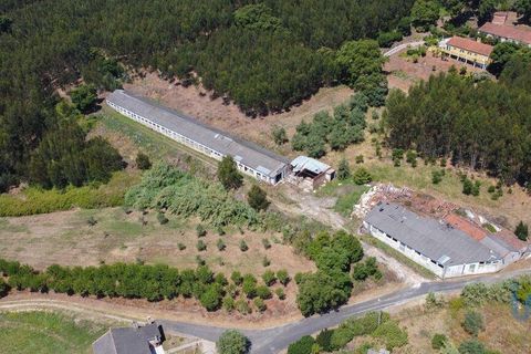 Byhus i Rio Maior, Santarem, Rio Maior - € 83.500 | Ref: 59145 - foto 4