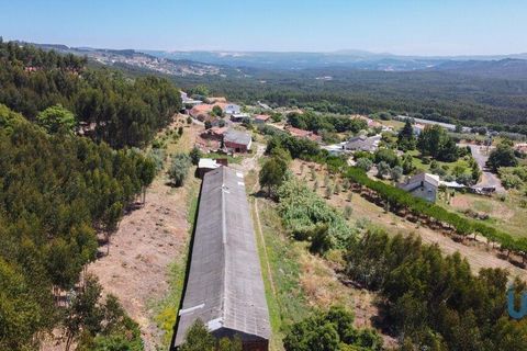 Byhus i Rio Maior, Santarem, Rio Maior - € 83.500 | Ref: 59145 - foto 5