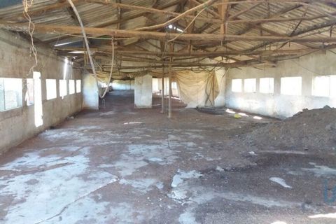 Byhus i Rio Maior, Santarem, Rio Maior - € 83.500 | Ref: 59145 - foto 6