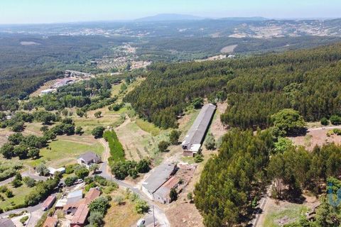 Byhus i Rio Maior, Santarem, Rio Maior - € 83.500 | Ref: 59145 - foto 9
