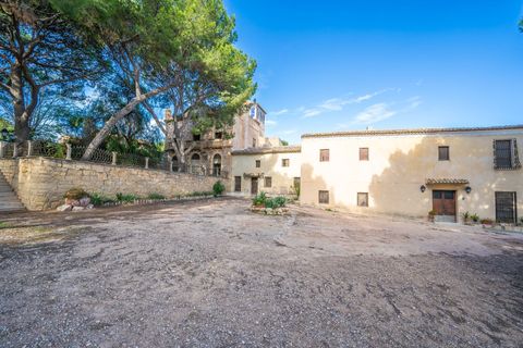Villa i Monovar, Alicante, Monovar - € 3.000.000 | Ref: 9c3c7d59-1b68-458d-8 - foto 49