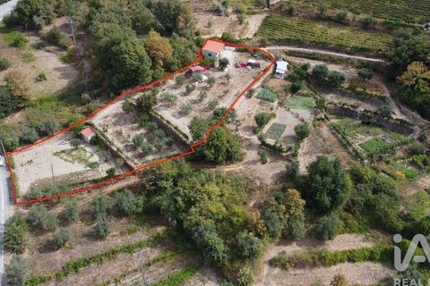 Helårsgrund i Penalva do Castelo, Viseu, Penalva do Castelo - € 51.000 | Ref: 151230 - foto 1