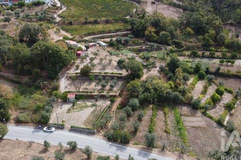 Helårsgrund i Penalva do Castelo, Viseu, Penalva do Castelo - € 51.000 | Ref: 151230 - foto 2